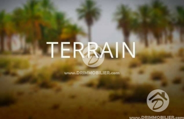 V 114 -                            بيع
                           Terrain Djerba
